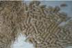 SMART FeedBond