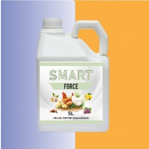 SMART FORCE