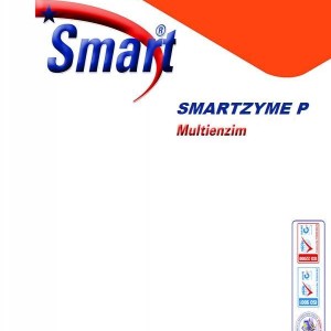 SMARTZYME P