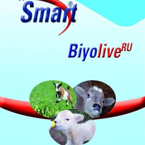 SMART BİYOLİVE 
