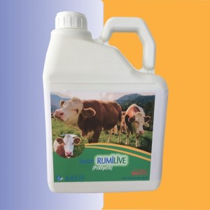 SMART RUMİLİVE LİKİT