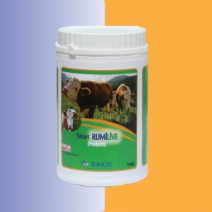 Smart Rumilive  / İçme Suyu Formu