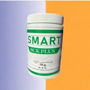 SMART BCK PLUS 