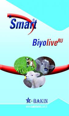 SMART BİYOLİVE (Yem Formu)