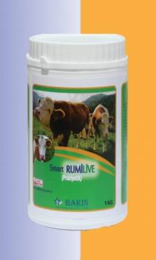 Smart Rumilive  / İçme Suyu Formu