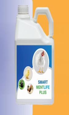 SMART MENTLIFE